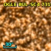 OGLE BUL-SC4 731062