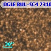OGLE BUL-SC4 731051