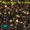 OGLE BUL-SC5  95042