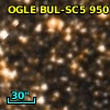 OGLE BUL-SC5  95078