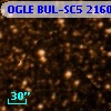 OGLE BUL-SC5 216017