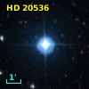HD  20536
