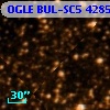 OGLE BUL-SC5 428502