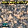 OGLE BUL-SC20 370313