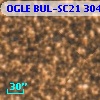 OGLE BUL-SC21  30481