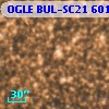 OGLE BUL-SC21  60173