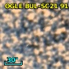 OGLE BUL-SC21  91129