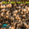 OGLE BUL-SC22  89998