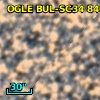 OGLE BUL-SC34 840272