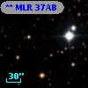 ** MLR    37AB