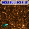 OGLE BUL-SC37     15