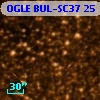 OGLE BUL-SC37     25