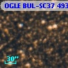 OGLE BUL-SC37 493781