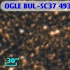OGLE BUL-SC37 493766