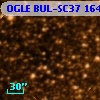 OGLE BUL-SC37 164655