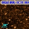 OGLE BUL-SC37 164648