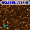 OGLE BUL-SC37     45