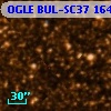 OGLE BUL-SC37 164616