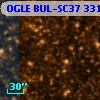 OGLE BUL-SC37 331162
