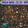 OGLE BUL-SC37 493799
