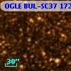 OGLE BUL-SC37 172122