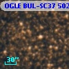 OGLE BUL-SC37 502819