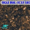 OGLE BUL-SC37 502769