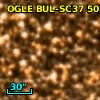 OGLE BUL-SC37 502846