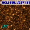 OGLE BUL-SC37   8831