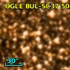 OGLE BUL-SC37 502800