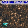 OGLE BUL-SC37 502869