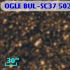 OGLE BUL-SC37 502795