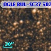 OGLE BUL-SC37 502916