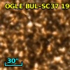 OGLE BUL-SC37  19134
