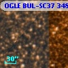 OGLE BUL-SC37 348695
