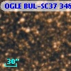 OGLE BUL-SC37 348699