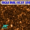 OGLE BUL-SC37  19141