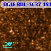 OGLE BUL-SC37 181437