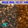OGLE BUL-SC37 348668
