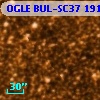 OGLE BUL-SC37 191909