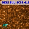 OGLE BUL-SC37  41818