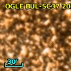 OGLE BUL-SC37 202733