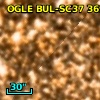 OGLE BUL-SC37 369637