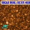OGLE BUL-SC37  41824