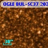 OGLE BUL-SC37 202739