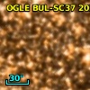 OGLE BUL-SC37 202841