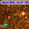OGLE BUL-SC37 202741