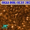 OGLE BUL-SC37 202779