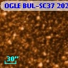 OGLE BUL-SC37 202780