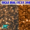 OGLE BUL-SC37 380155
